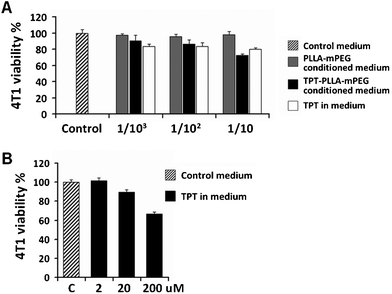 Very high doses of TPT decreased the viability of 4T1 cancer cells. (A) Effect of TPT released from PLLA-mPEG gel, TPT solution, and PLLA-mPEG conditioned cell culture media on the 4T1 cell viability. 3 × 104 cells were seeded and 1 : 103, 1 : 102, and 1 : 10 dilutions (0.4 μM, 4 μM and 40 μM, respectively) of TPT solution or released drug were tested. (B) Dose response for the TPT solution was also determined. A statistical difference was obtained between the control cells and the cells treated with 200 μM TPT.