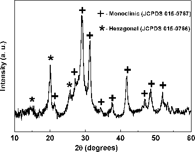 
            Powder XRD pattern of BiPO4 obtained by polyol-mediated method with heating the precursor Bi(NO3)3·5H2O in DEG at 150 °C to remove H2O. The pattern contains both monoclinic BiPO4 (+, major phase) and hexagonal BiPO4 (* minor phase).