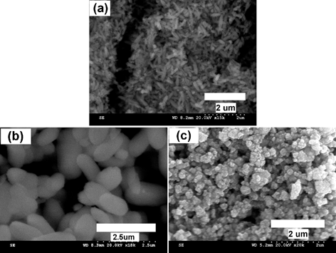 
            SEM images of hexagonal (a) BiPO4·xH2O, (b) Bi0.95Eu0.05PO4·xH2O as obtained by polyol-mediated method and (c) monoclinic Bi0.95Eu0.05PO4.