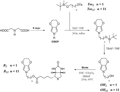 Synthetic route to the monomers.