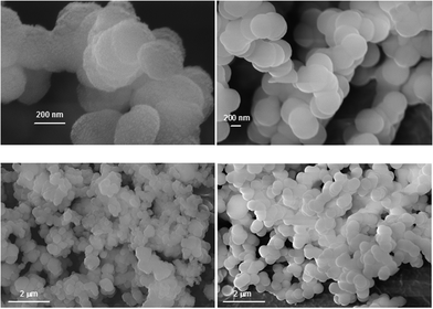 
              Silica precipitates in the presence of PEGP+-1000 (100 ppm (0.071 mM), left; 150 ppm (0.034 mM), right) after 7 days.