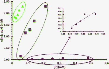 Stabilised silicic acid concentration (mM) dependence on concentration of P (mM). [P] is the molar concentration of the phosphonium groups. Red rhombi (◆) refer to PEGP+-200, blue squares (■) refer to PEGP+-1000, and green triangles (▲) correspond to PEGP+-4000.