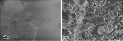 
              Silica precipitates in the absence of any additives (control) after 7 days.