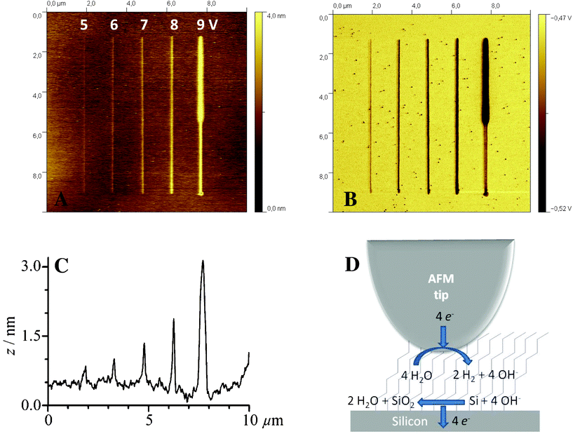 
          AFM topography (A) and friction (B) images of silicon oxide lines electrogenerated on dodecyl monolayer-modified Si(111) at different voltage values (5 to 9 V) and for a constant writing rate (0.1 μm s−1). (C) Corresponding cross-section profile taken in the middle of the image. (D) Mechanism of oxide growth on monolayer-modified silicon surface. Relative humidity is 50 ± 5%. Potential is applied to the sample and the tip is grounded.