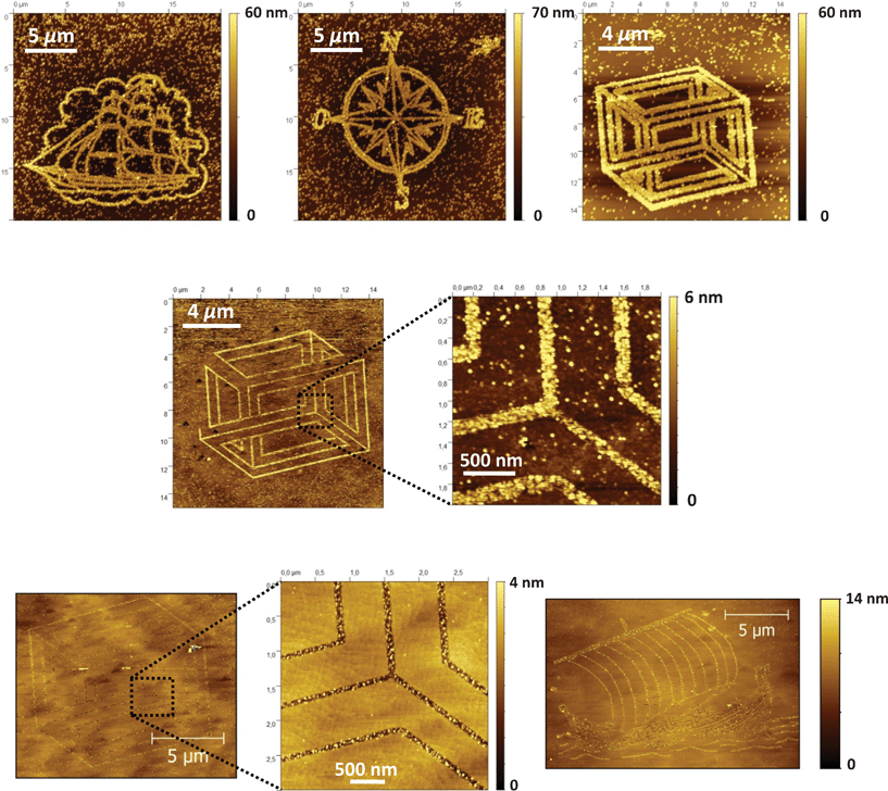 
          AFM images of gold nanoparticles deposited on nanopatterned undecanoic acid-modified Si(111) after etching in HF 2% for 2 min and dipping for 5 s in a gold salt solution containing HF 0.25% and HAuCl4 at 100 (top), 10 (middle) or 1 μM (bottom).