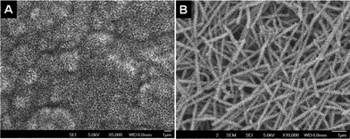 A and B, respectively, denote the SEM images of the titanates obtained by NaOH treatment at 110 °C.