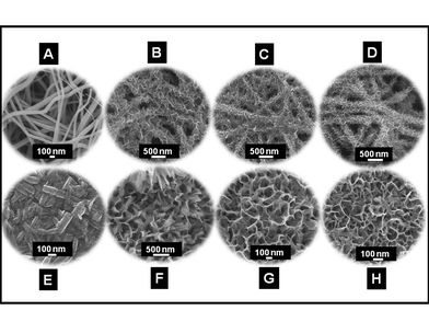 Top panel: SEM images showing the evolution of the titanate morphology (B–D) from TiO2–SiO2 fibers (A). Bottom panel: SEM images showing the evolution of the sponge-shaped morphology (F–H) from rice grain-shaped TiO2–SiO2 composites (E).