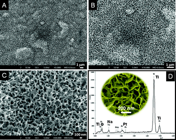 
            SEM images of the sponge-shaped titanates in various resolutions (A–C). An expanded view of C is given in the inset of D. D shows the SAED pattern of the NaOH treated sample showing the absence of Si and the presence of Na.