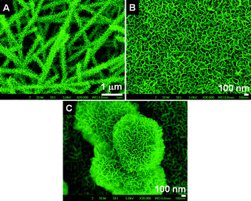 SEM images of the titanates obtained by treatment with 10 M NaOH solution (A for the fiber- and B for the sponge-shaped titanate, respectively). C shows flower shaped structure with an intrinsic sponge morphology.