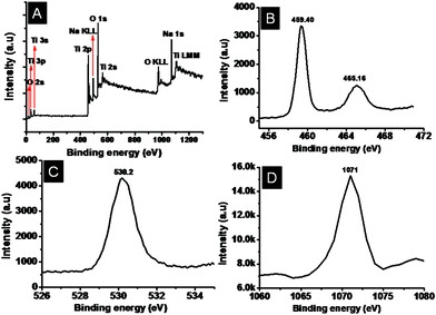 Representative XPS survey spectrum of the titanate (A) and the high-resolution peaks of Ti, O and Na (B, C and D respectively).