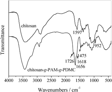 
          FT-IR spectra of chitosan and chitosan-g-PAM-g-PDMC.