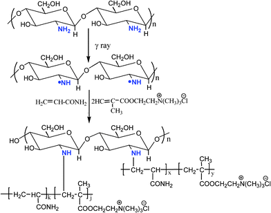 Schematic representation of graft-copolymerization of chitosan.