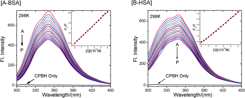 Effect of CPBH on the fluorescence spectra of [A] BSA and [B] HSA at 298 K. c(BSA/HSA) = 2 μM; c(CPBH)/μM, A–P: 0; 0.33; 0.67; 1.00; 1.33; 1.67; 2.00; 2.33; 2.67; 3.00; 3.33; 3.67; 4.00; 4.33; 4.67; 5.00. The curve at the bottom shows the emission spectrum of CPBH only under this condition.