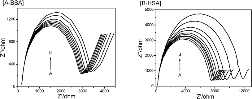 
            Electrochemical impedance spectroscopy (EIS) of CPBH and SA system. Various volumes of CPBH interact with [A] BSA and [B] HSA. The concentration of CPBH for A–J (μM): 0, 11.5, 23.1, 46.2, 69.3, 92.4, 115.5, 138.6, 161.7, 184.8.