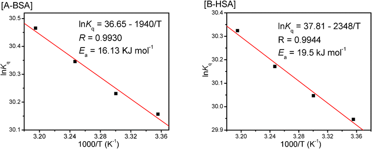 Arrhenius plots of CPBH and [A] BSA and [B] HSA system.