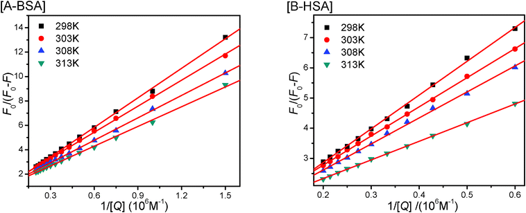 The modified Stern–Volmer plots of CPBH and SA at different temperatures.