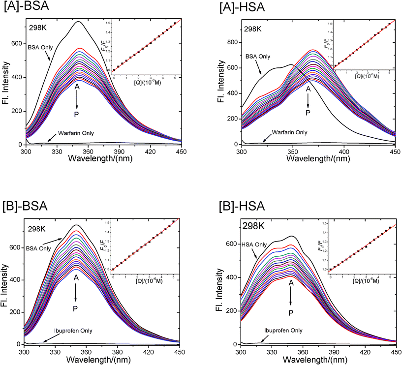 
              Spectra of CPBH–BSA/HSA system in the presence of site marker warfarin[A] and ibuprofen[B]. T = 303 K, λex = 295 nm; c(warfarin) = c(ibuprofen) = c(BSA) = c(HSA) = 2 μM; c(CPBH)/μM, A–P: 0; 0.33; 0.67; 1.00; 1.33; 1.67; 2.00; 2.33; 2.67; 3.00; 3.33; 3.67; 4.00; 4.33; 4.67; 5.00. The curve at the bottom shows the emission spectrum of warfarin [A] and ibuprofen [B] only under this condition. The insert plots correspond to the Stern–Volmer plots.