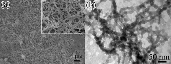 (a) Low-magnification and enlarged SEM images (inset) of nanofibrous CaCO3–chi composite deposited onto a SS substrate by one-step electrodeposition at E = −3 V vs.Ag/AgCl for 30 min. Electrolyte: [Ca2+] = 4.5 mM, [HCO3−] = 9 mM and 0.45 mg mL−1 chitosan, initial pH = 5.5. (b) TEM image of typical nanofiber structures.