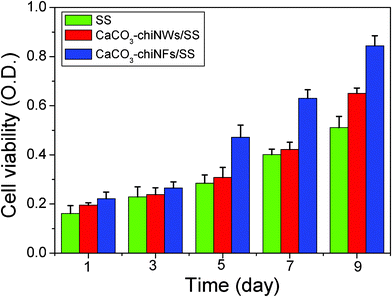 MTT assay formazan absorbance expressed as a measure of the cell viability of MC3T3 cells cultured on the bare SS, CaCO3–chi NWs/SS and CaCO3–chi NFs/SS scaffolds for different times.