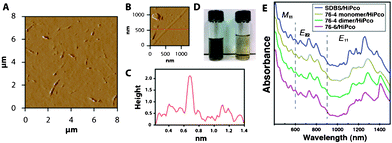 (A) AFM micrograph of well dispersed HiPco SWCNTs by peptide 76-4 dimer. (B) An individually dispersed SWCNT by peptide 76-4 dimer at 500 μM. (C) AFM height profile along the red line crossing a SWCNT shown in B. (D) The photograph of HiPco SWCNTs dispersed by peptide 76-4 dimer. Left: 500 μM 76-4 dimer. Supernatant after centrifugation at 40 000 g for 1 h. Right: 100 μM 76-4 dimer. (E) UV-vis-NIR absorption spectra of SDBS/HiPco, 76-4/HiPco, 76-4 dimer/HiPco, and 76-6/HiPco.