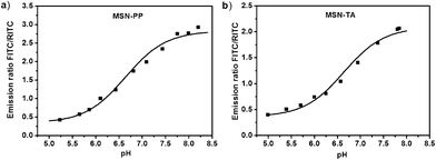 Ratios of normalized fluorescence intensities between the indicator (FITC) and reference (RITC) dyes in sodium phosphate buffers at varying pH (pH range 5.0 to 8.0). The fluorescence was measured at peaks of 515 nm (FITC) and 575 nm (RITC), respectively. (a) MSN-PP, (b) MSN-TA.