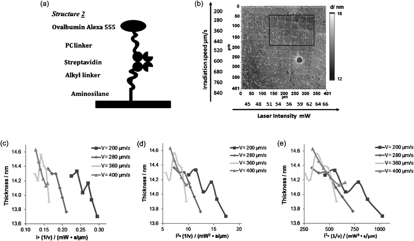 (a) Structure 2 for releasing model drug with primary amino group. (b) Ellipsometry image of structure 2 coated surface after two-photon excitation. (c)–(e) Plot of the release of Ovalbumin Alexa 555 and the dose of laser assuming a one-, two- and three photon excitation