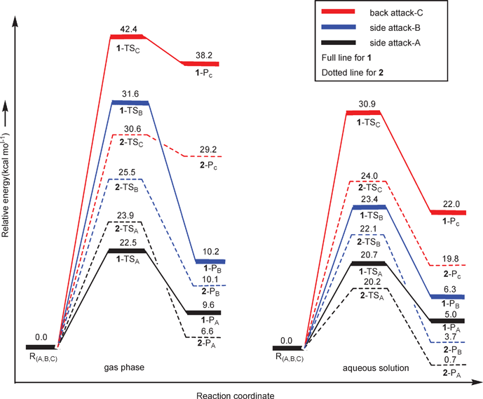 Free energy profiles (at B3LYP/B3//B3LYP/B1 level) of three pathways of the aquation process for complexes 1 and 2 in the gas phase and aqueous solution.