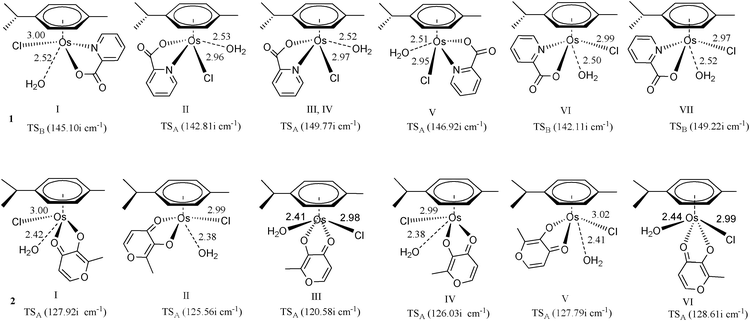 Optimized structures (at B3LYP/B1 level) of the transition state involved in the side attack for various conformations. Bond length values are given in Å.