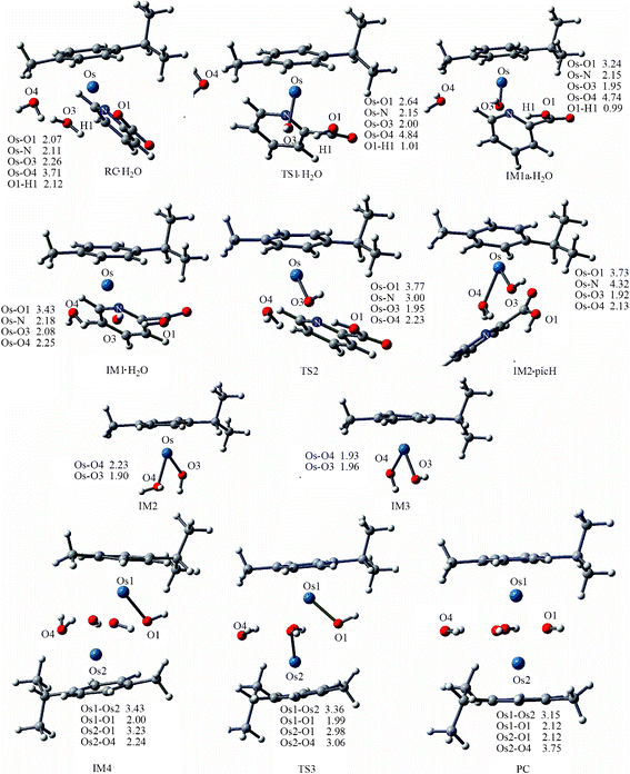 Optimized structures of the species involved in the dimerization of 1a. Bond length values are given in Å.