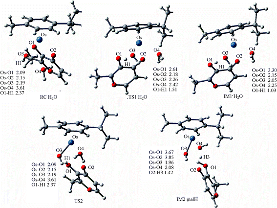 Optimized structures of the species involved in the dimerization of 2a, and IM2, IM3, IM4, TS3 and PC are compiled in Fig. 6. Bond length values are given in Å.