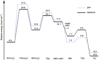 Free energy profiles (at B3LYP/B3//B3LYP/B1 level) of dimerization of 2a in gas phase and aqueous solution.