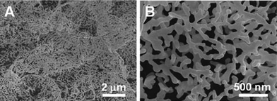 (A) Low- and (B) high-magnification SEM images of Au NCs grown on carbon paper.