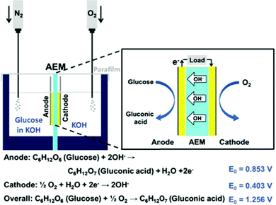 Schematic configuration of an alkaline direct glucose fuel cell.