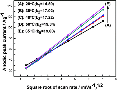 Plots of the anodic peak current (ip) and the square root of the scan rate (v1/2).