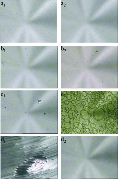 Polarized optical micrographs of 8CB doped with the azobenzene chromophore AB before and after UV irradiation for 480 s at 21 °C. (a1) and (a2) are graphs of the sample LC–A1 doped with 3% of AB before and after UV irradiation, respectively; (b1) and (b2) are graphs of the sample LC–A2 doped with 5% of AB before and after UV irradiation, respectively; (c1) and (c2) are graphs of the sample LC–A3 doped with 7% of AB before and after UV irradiation, respectively; (d1) and (d2) are graphs of the sample LC–A4 doped with 10% of AB before and after UV irradiation, respectively. Magnification: 400.