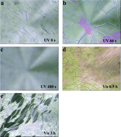 Polarized optical micrographs of the sample LC–A–B2 (89% of 8CB, 1% of BD, 10% of AB) under UV and Vis irradiation at 21 °C. (a), (b), (c), (d) and (e) corresponding to UV irradiation for 0 s, 60 s, 480 s and then to Vis irradiation for 0.5 h and 3 h, respectively, at 21 °C. Magnification: 100.