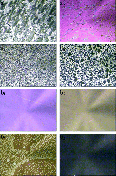 Polarized optical micrographs of the sample LC–A–B4 (91% of 8CB, 4% of BD, 5% of AB) under UV irradiation: a1, a2, a3 and a4 corresponding to UV irradiation for 0 s, 120 s, 300 s and 480 s, respectively, at 21 °C, magnification: 100; b1, b2, b3 and b4 corresponding to UV irradiation for 0 s, 60 s, 120 s and 300 s, respectively, at 28 °C, magnification: 400.