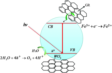 The procedure of photocatalytic oxidation for the WO3@GR composite.