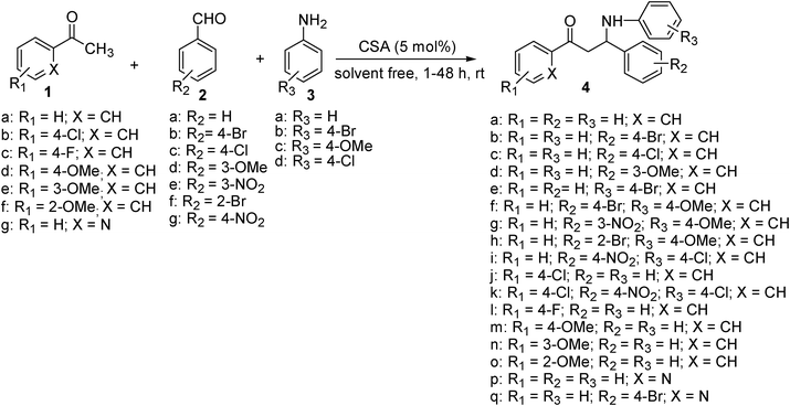 
          (±)-CSA catalyzed one-pot three-component Mannich reaction.