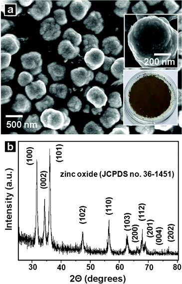 (a) SEM image of the powders synthesized from the reaction of an aqueous solution containing 0.01 M zinc nitrate hexahydrate, 0.01 M HMT, and 0.002 M L(+)-ascorbic acid at 180 °C for 30 min. The upper and lower insets of (a) show, respectively, a high-magnification SEM image of the structure and a digital camera image of the powders. (b) XRD pattern of the powders.