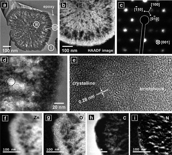 (a) And (b): cross-sectional TEM image and HAADF image, respectively, of a nanostructure synthesized from the reaction of an aqueous solution containing 0.01 M zinc nitrate hexahydrate, 0.01 M HMT, and 0.002 M L(+)-ascorbic acid at 180 °C for 30 min. (c) SAED pattern of the structure. (d) Higher magnification TEM image of a region of the structure. (e) HR-TEM image of the area indicated by the circle in (d). (f) Elemental mapping of Zn. (g) Elemental mapping of O. (h) Elemental mapping of C. (i) Elemental mapping of N.