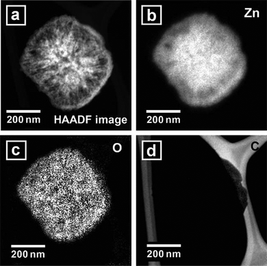 (a) HAADF image of the calcined nanostructure. (b) Elemental mapping of Zn. (c) Elemental mapping of O. (d) Elemental mapping of C.