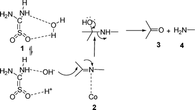 Probable mechanistic pathway.