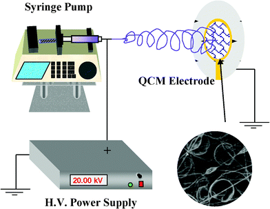 Schematic diagram showing the electrospinning deposition of fibrous PS membranes onto the QCM electrode.