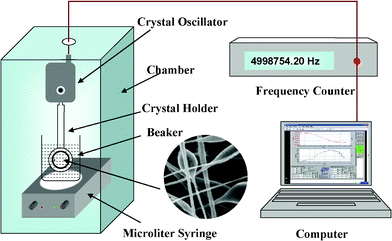 Schematic diagram of a testing system for metal ions.