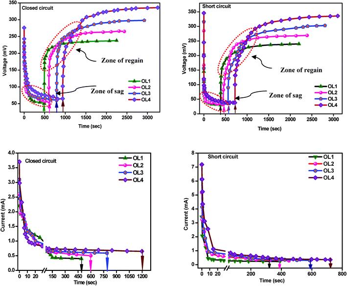 Voltage and current profiles during sag, regain and their stabilization phases against time for closed and short circuit operations with the function of organic load (OL1-OL4).