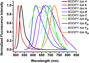 Normalized fluorescence spectra of BODIPY dyes (4, 6, A–C, Da–Ga) in methylene chloride.