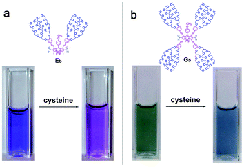 (a) Visualized images of BODIPY dye Eb (20 μM) in 0.01M PBS buffer pH 7.4 in the absence and presence of l-cysteine (10 mM). (b) Visualized images of BODIPY dye Gb (20 μM) in 0.01M PBS buffer pH 7.4 in the absence and presence of l-cysteine (10 mM).