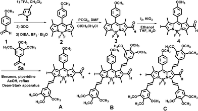 Synthetic route to heterobifunctional BODIPY dyes.