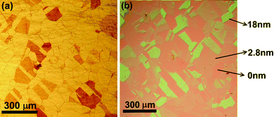 
          Optical micrographs for (a) as-synthesized h-BN films on Ni foils and (b) h-BN films transferred onto 300 nm SiO2/Si substrates.